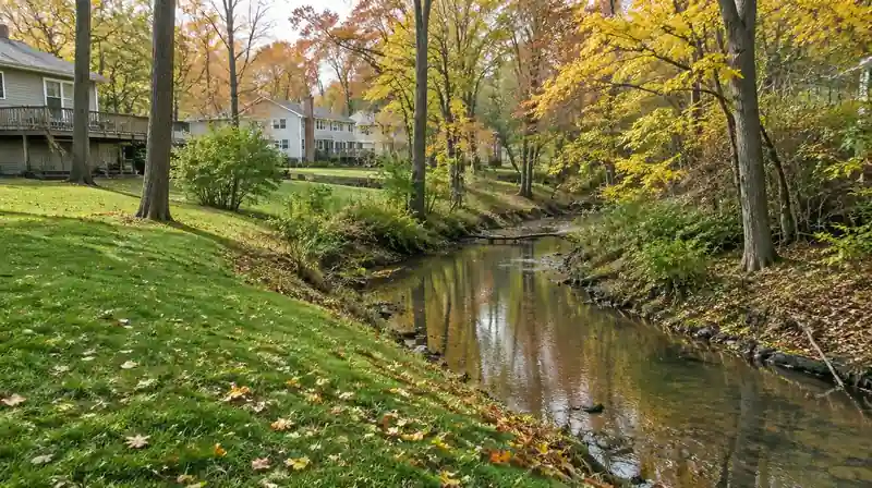 Creek behind backyards in a Sylvania, OH neighborhood
